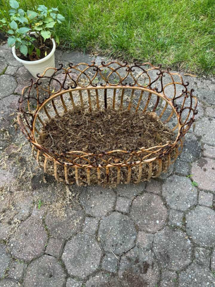 antique-iron-planter-720x961-1 antique-iron-planter