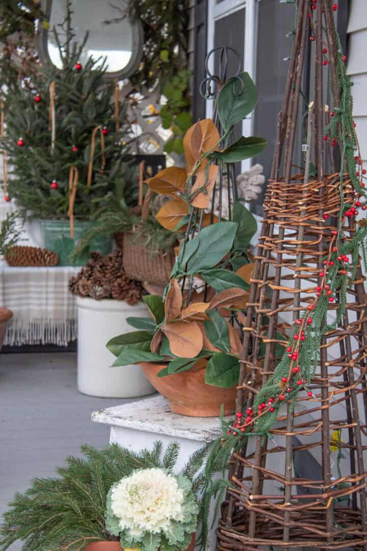 evergreen-planter-ideas-1-720x1080-1 evergreen planter ideas