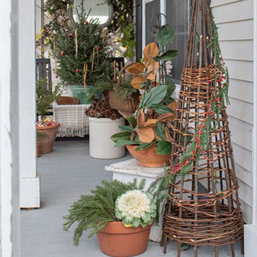 Christmas Plants For Front Porch