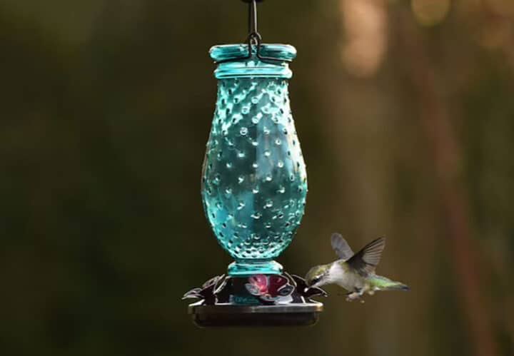 hummingbird feeder blue bottle