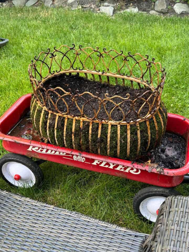lining-an-antique-planter-with-moss-720x961-1 lining-an-antique-planter-with-moss
