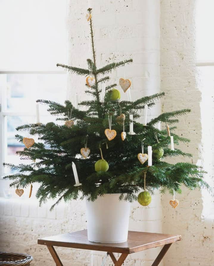 simple-Christmas-tree-in-planter